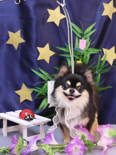 20230714ボスくん